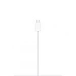Apple MagSafe Charger (1 m)
